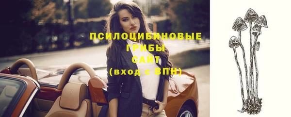 соль курить ск Медногорск