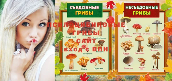 a pvp Кулебаки